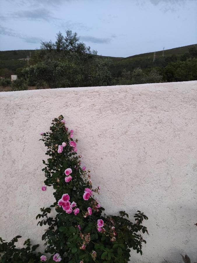 Casa Dos Vales 11 Villa Porto de Mós Eksteriør bilde